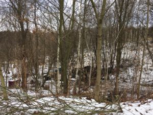 IMG_1157